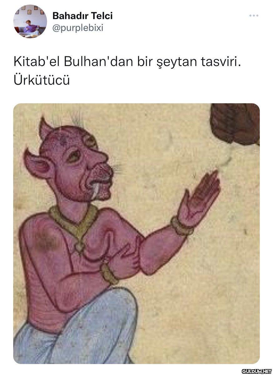 Bahadır Telci @purplebixi...