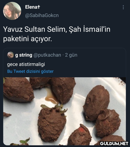 Elenat @SabihaGokcn Yavuz...