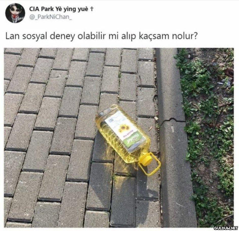 CIA Park Yè yìng yuè t...
