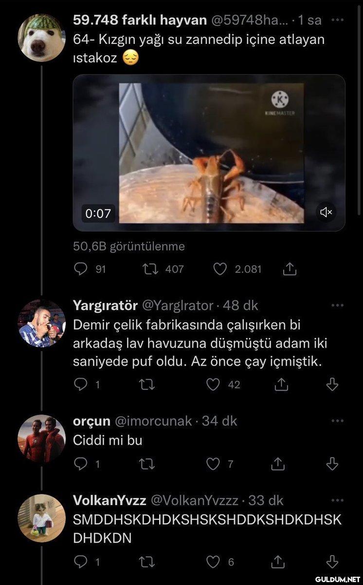 Uzun zamandır twitterda...