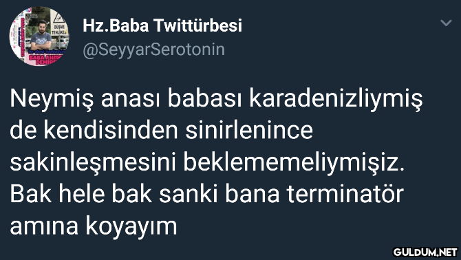 Hz.Baba Twittürbesi DÜŞME...