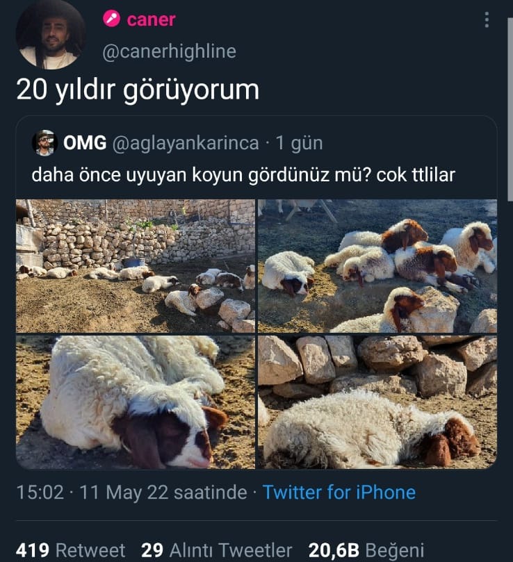 https://t.co/I03h5JG7pC  ...