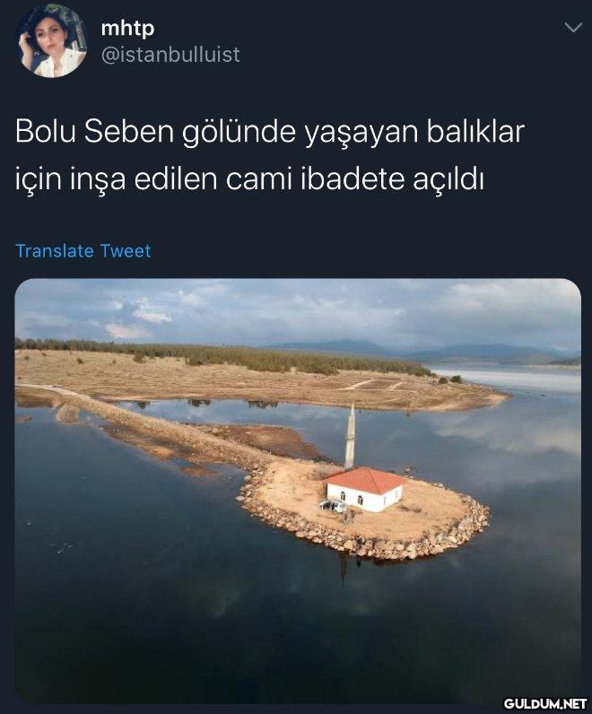 https://t.co/Yhls1mUD7R  ...
