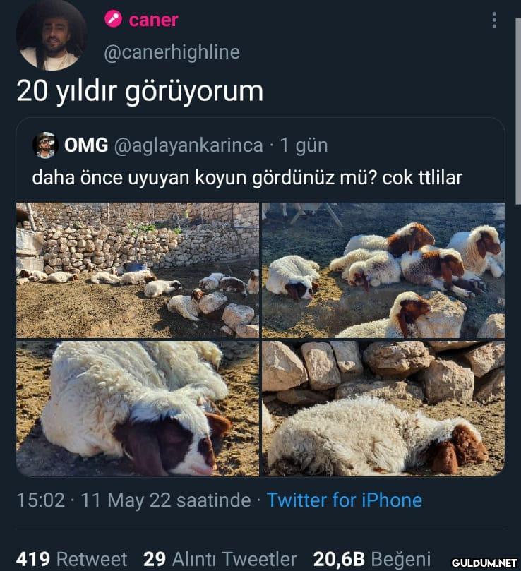 https://t.co/I03h5JG7pC  ...