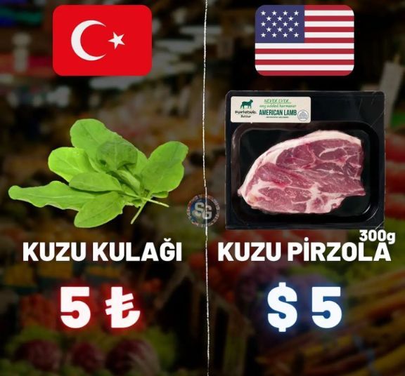 Son derece korkutucu.....