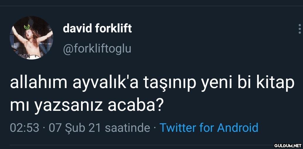 david forklift...