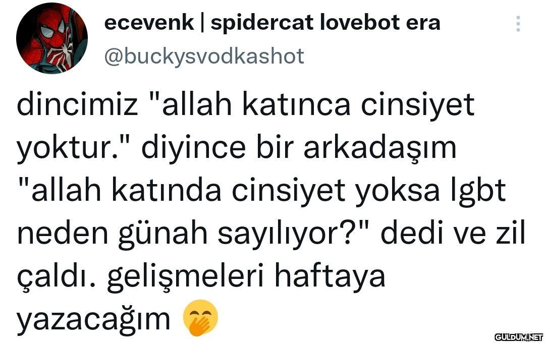 ecevenk | spidercat...