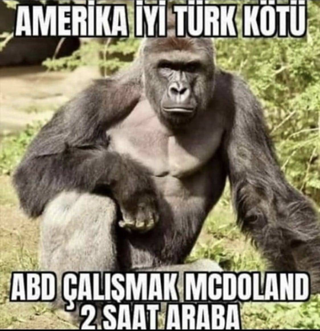 AMERIKA İYİ TÜRK KÖTÜ ABD...