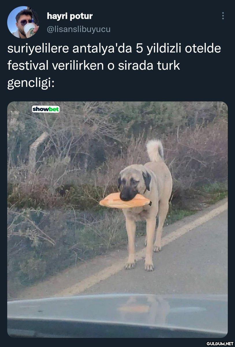 https://t.co/B4dXgHA5ow  ...