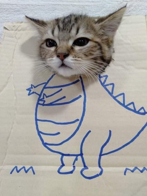 Dinazor kedi...