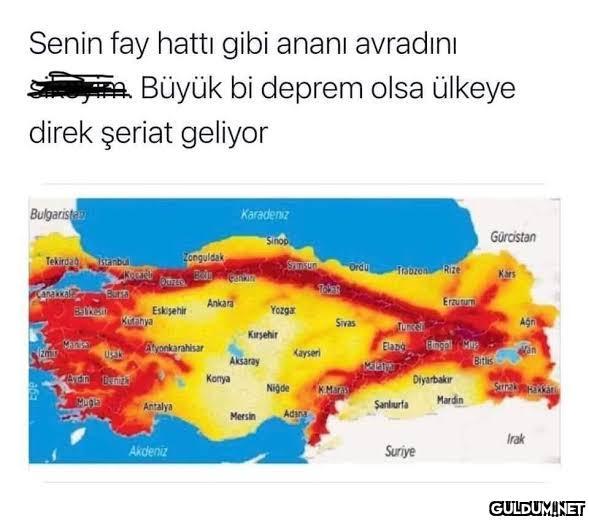 Senin fay hattı gibi ananı...