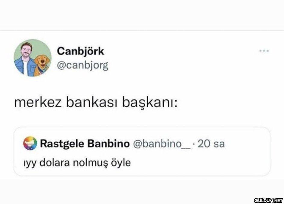 Canbjörk @canbjorg ......