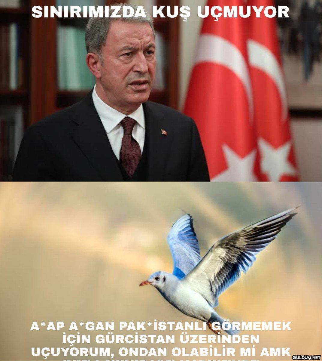 SINIRIMIZDA KUŞ ÜÇMUYOR...