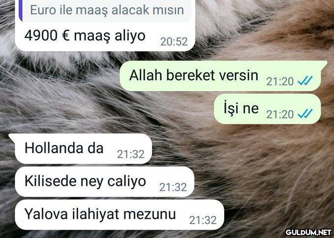 Kariyer basamaklarını uçar...