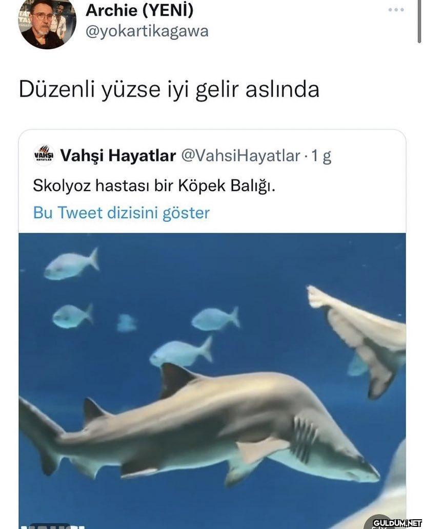 https://t.co/jCGLFwiMzy  ...