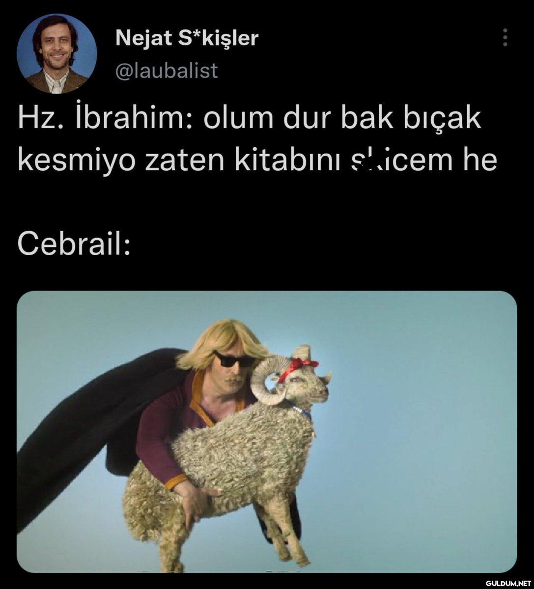 Nejat S*kişler @laubalist...