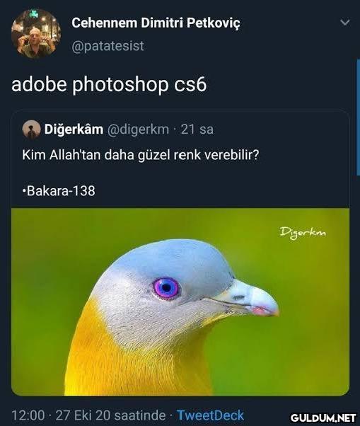 Cehennem Dimitri Petkoviç...