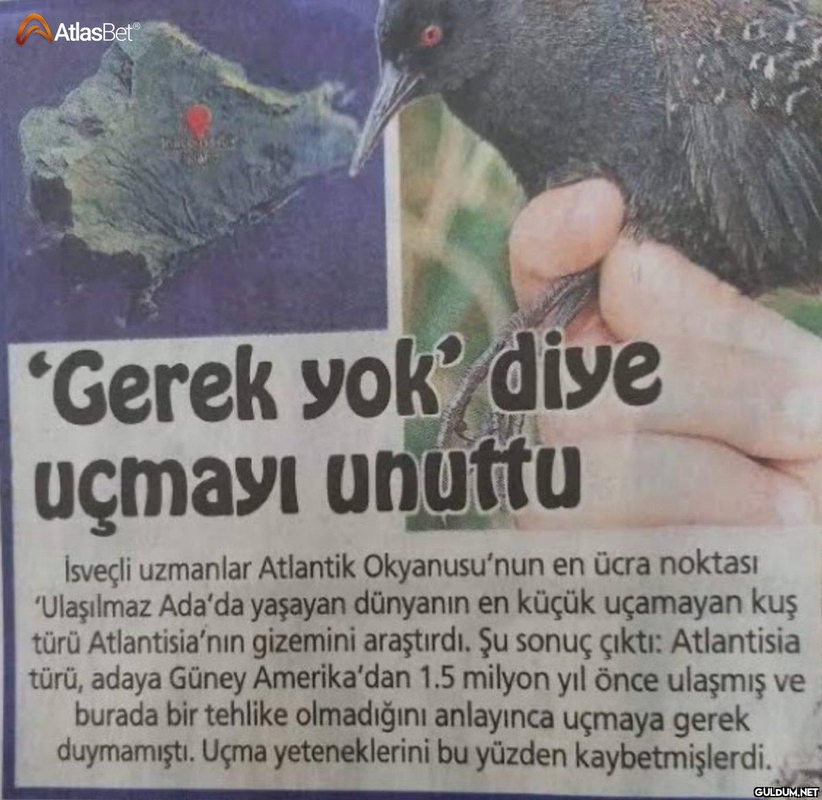 Benim akademik kariyer...