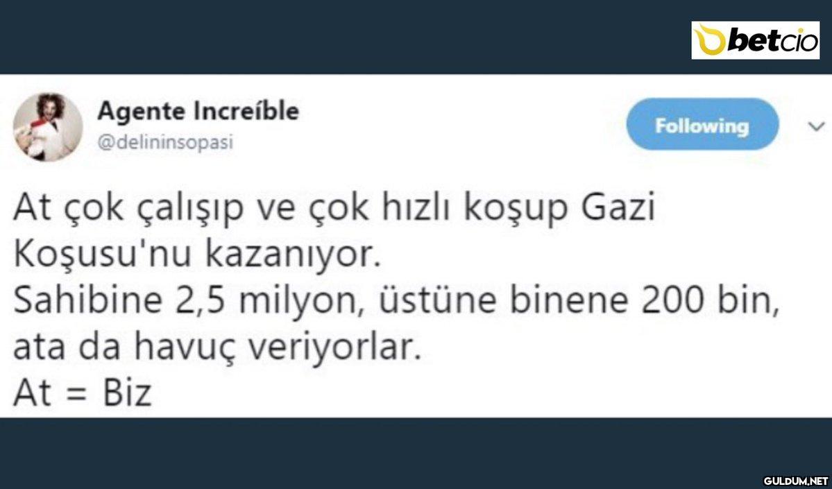 https://t.co/Uw54x0xnhv  ...