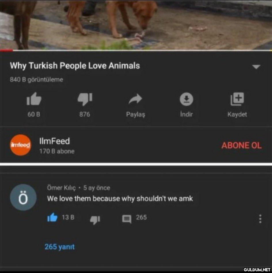 Why Turkish People Love...