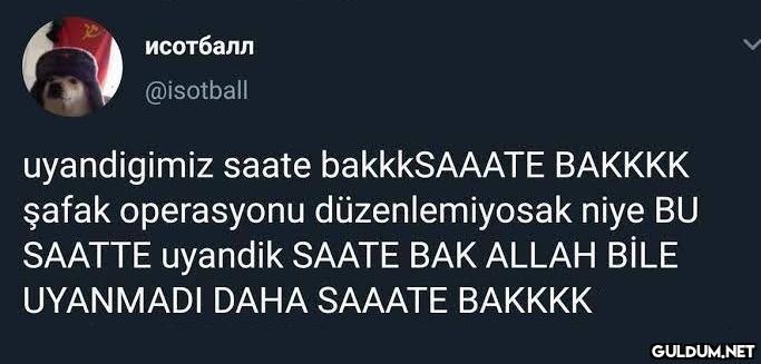 исотбалл @isotball...