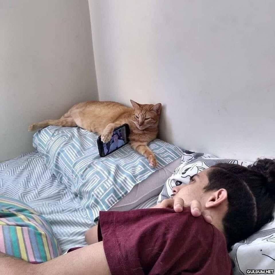 https://t.co/7ICCWnhNL0  Kaynak