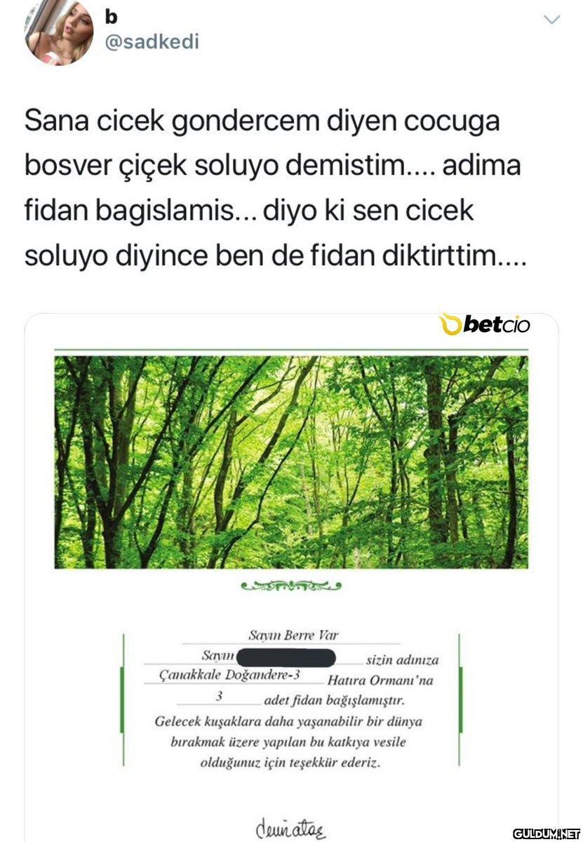 Nerden baksan kral hareket...