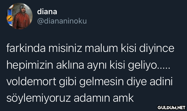 diana @diananinoku...