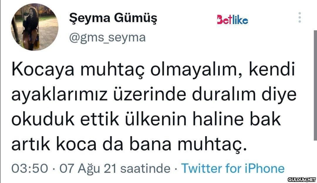 https://t.co/JSE6u5SKpN  ...
