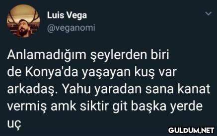 Luis Vega @veganomi...