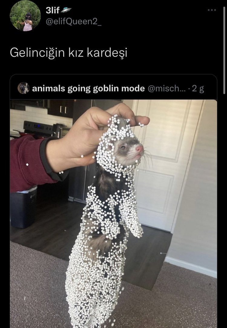 https://t.co/GnxN9UYKPq  ...