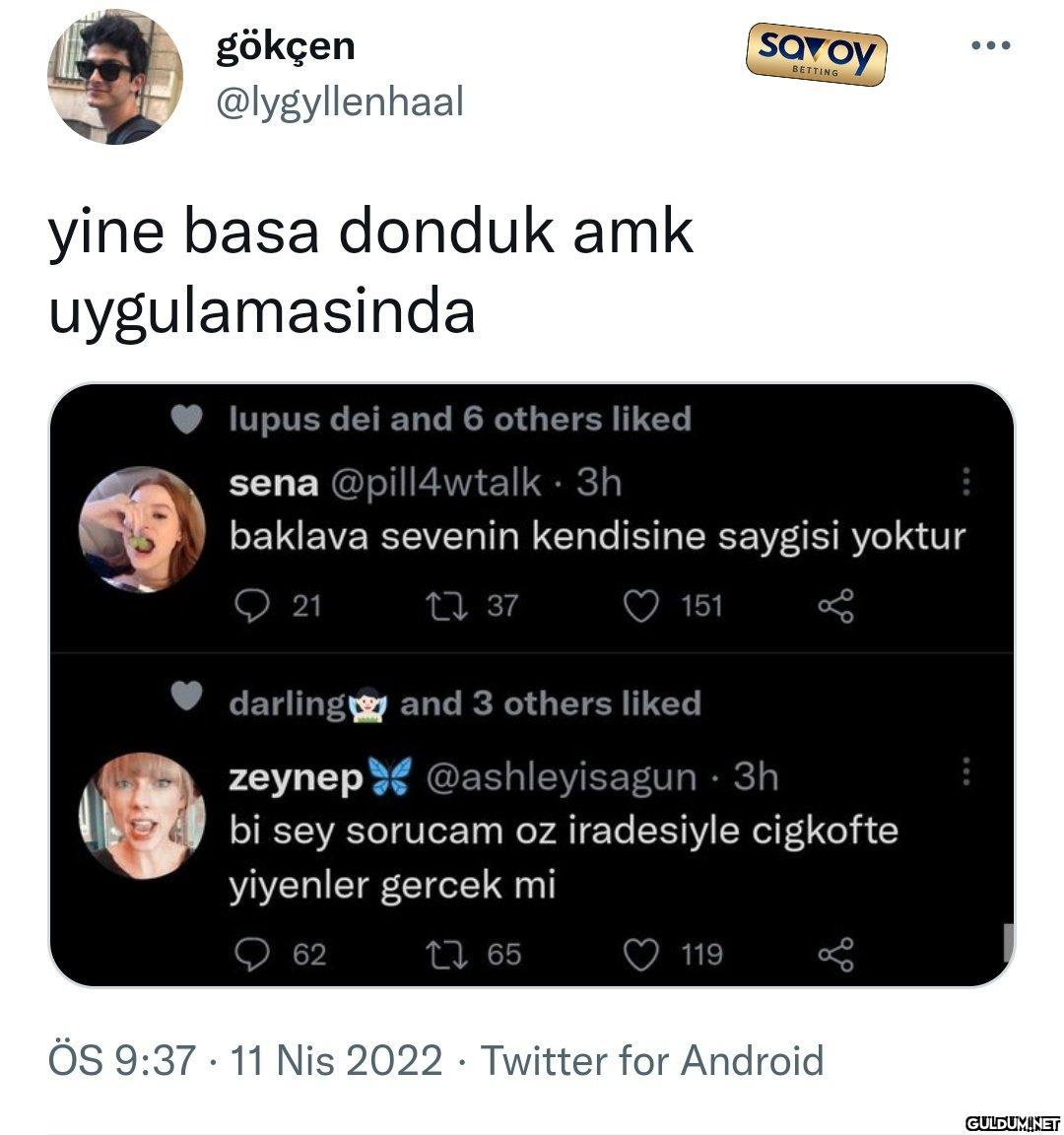 Savoy gökçen @lygyllenhaal...