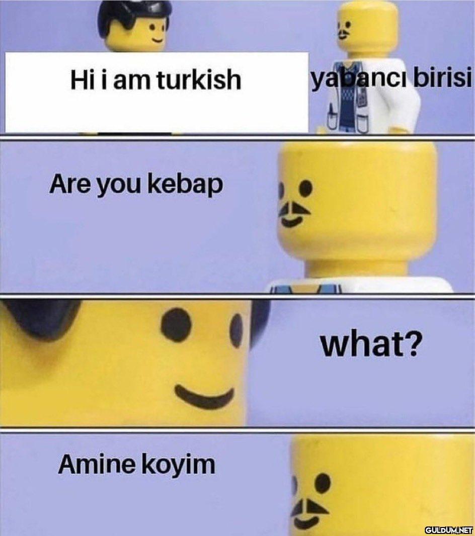 Hi i am turkish yabancı...