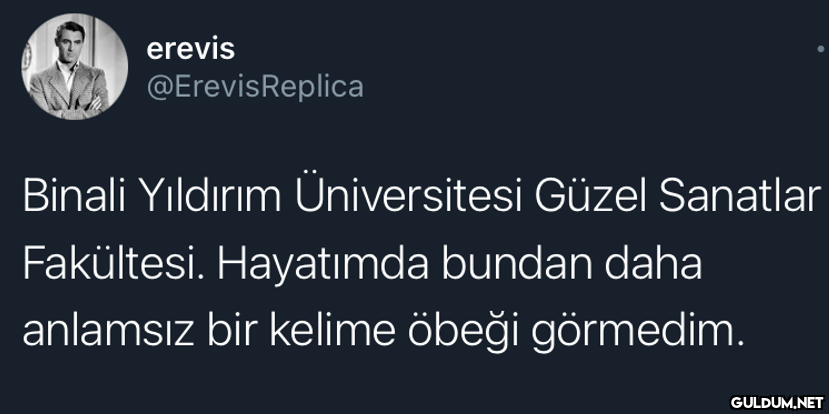 erevis @ErevisReplica...