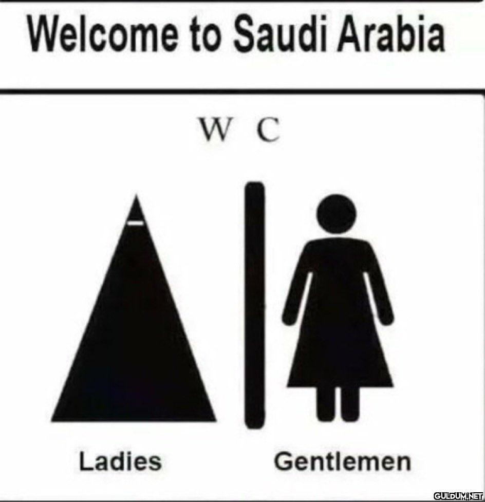 Welcome to Saudi Arabia W...