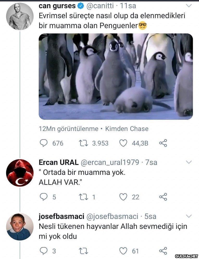 can gurses @canitti 11sa...