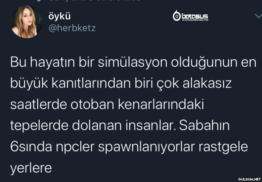 betasus EN ÇOK KAZANDIRAN...