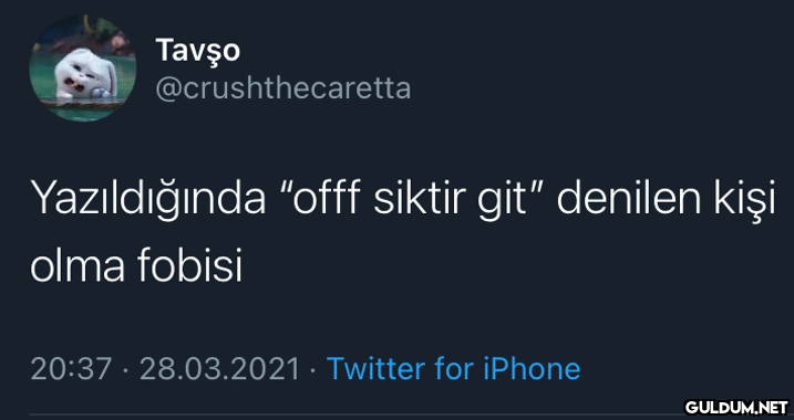 Tavşo @crushthecaretta...