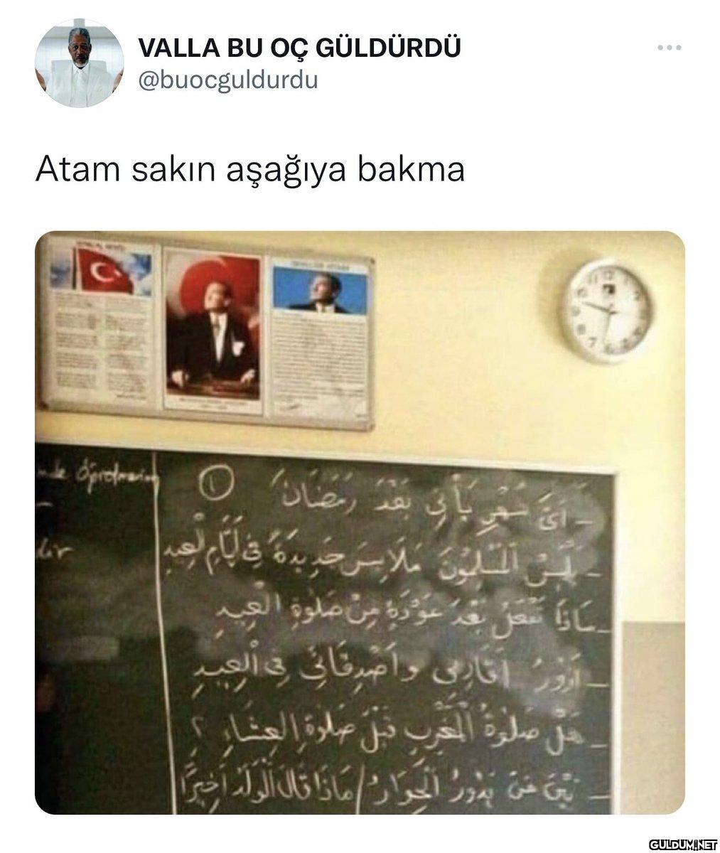 ... VALLA BU OÇ GÜLDÜRDÜ...