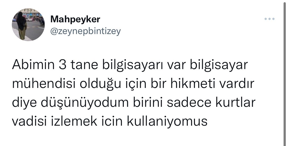 Gayet mantıklı...