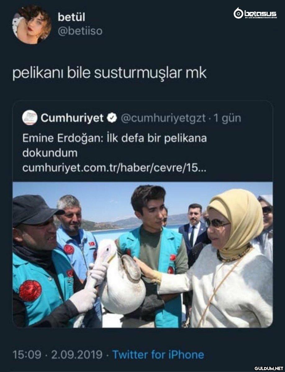 https://t.co/2BpGs9h5pg  ...