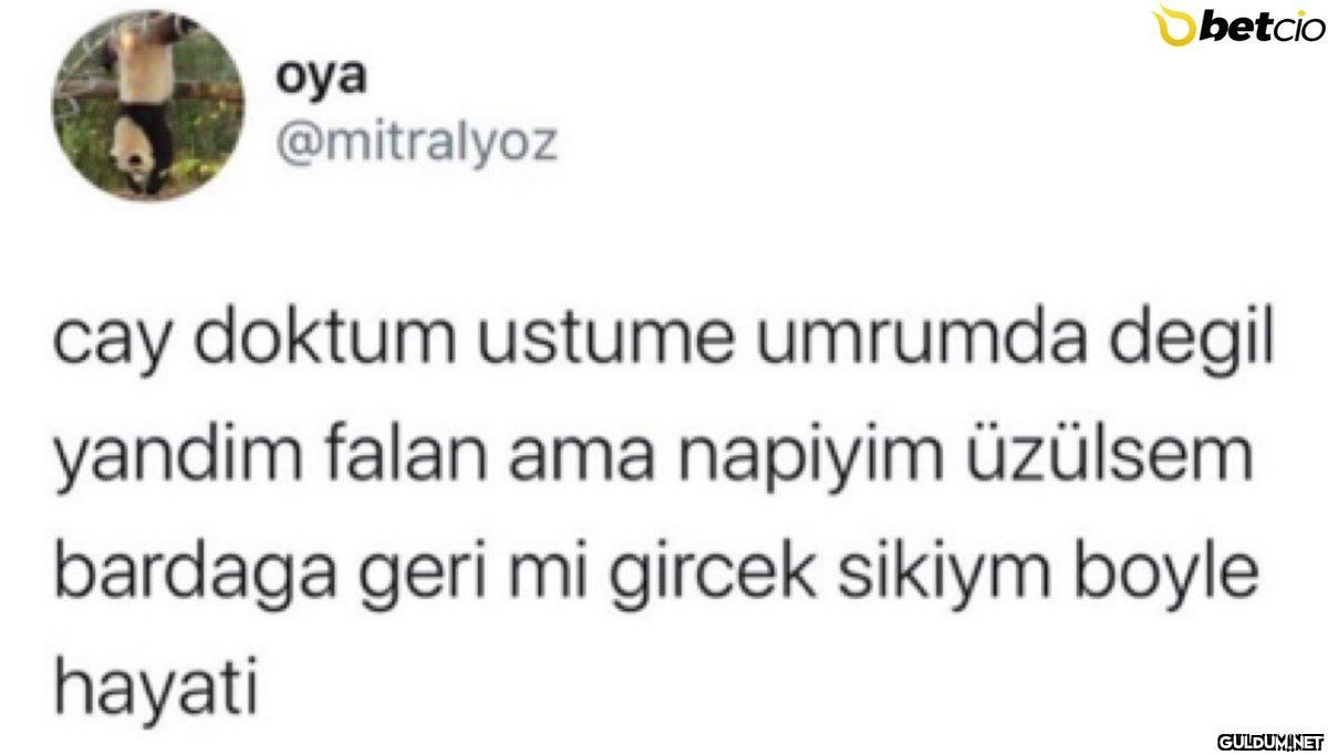 betcio oya @mitralyoz cay...