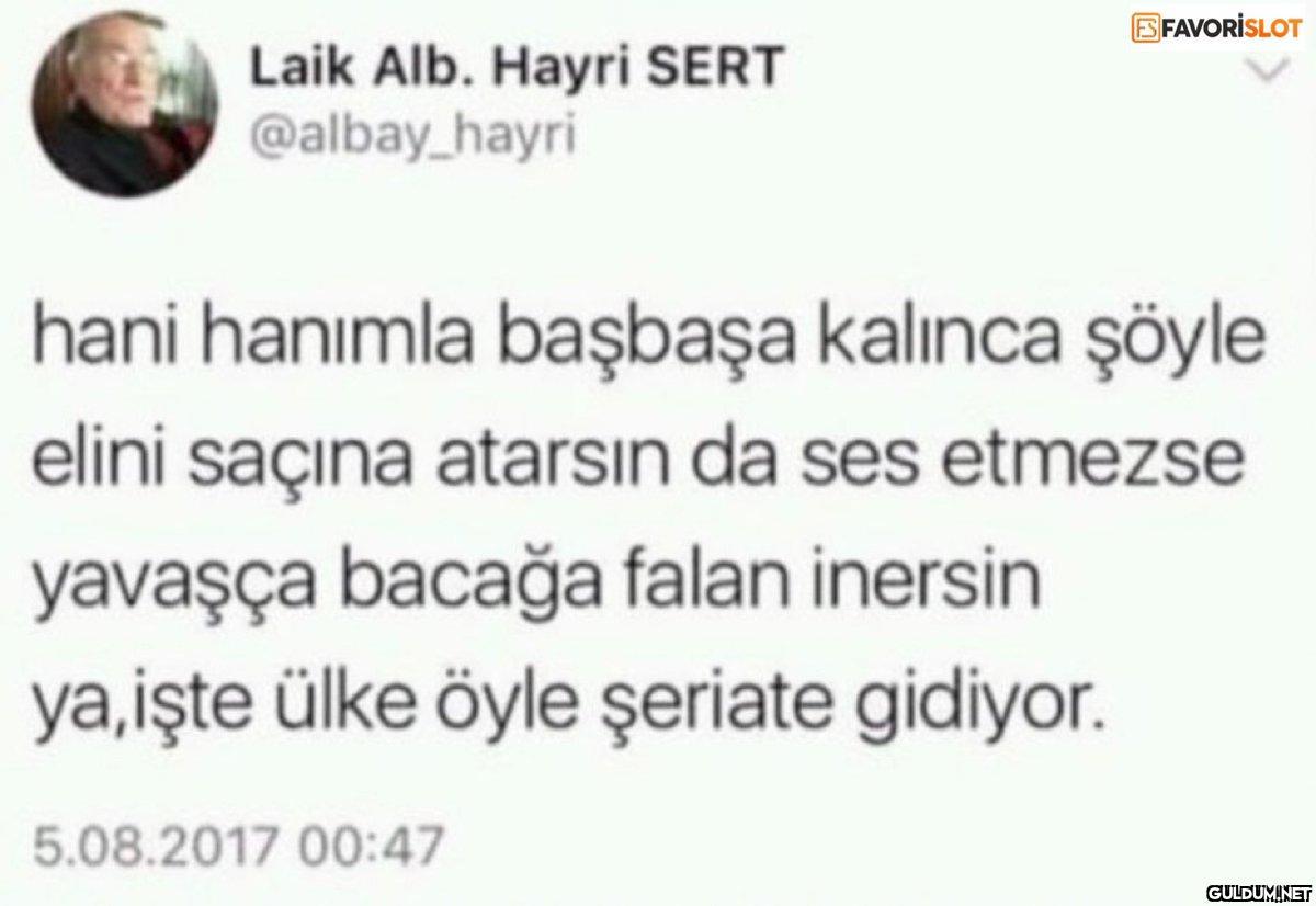 ES FAVORISLOT Laik Alb....