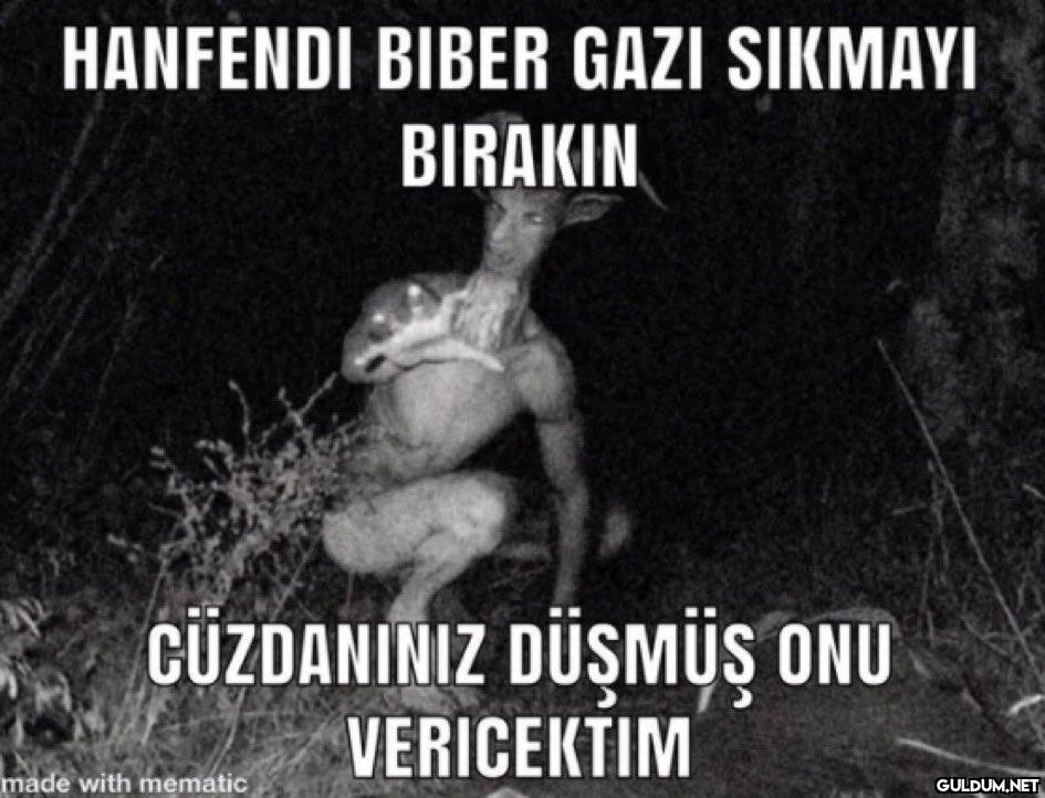 HANFENDI BIBER GAZI...