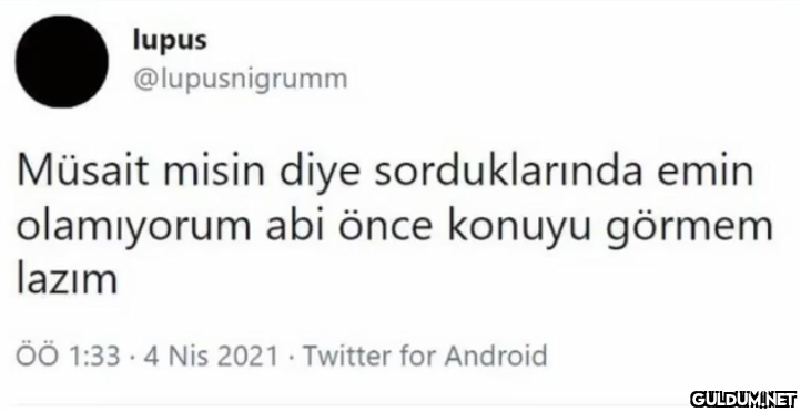 lupus @lupusnigrumm Müsait...