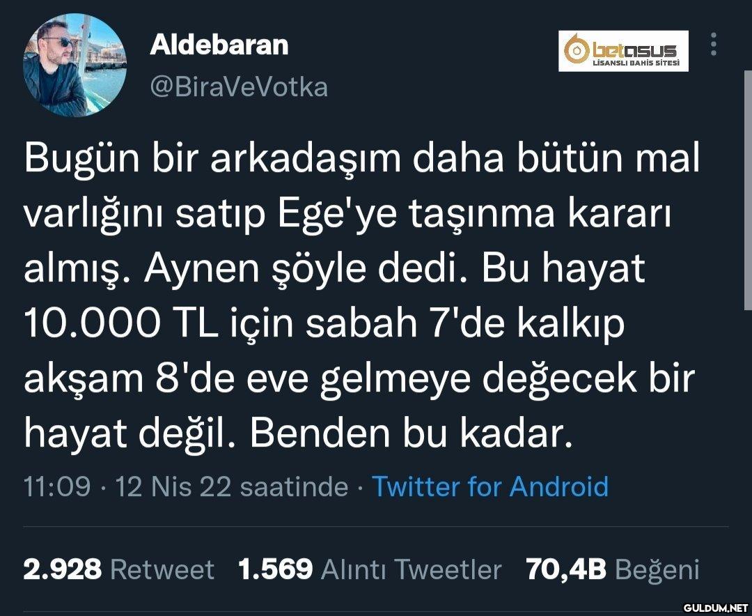 https://t.co/0F0gg6E9SH  ...