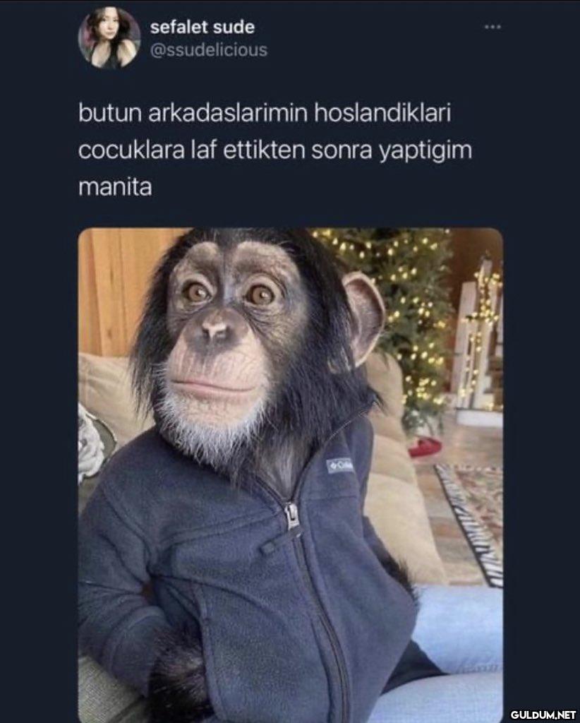 https://t.co/cYHPEWUqQt  ...