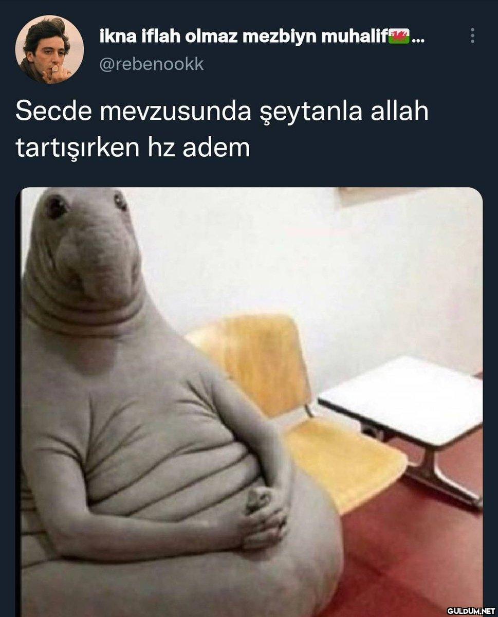 ikna iflah olmaz mezbiyn...