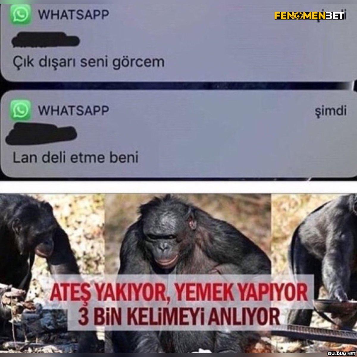 https://t.co/nGfIWo1f5T  ...