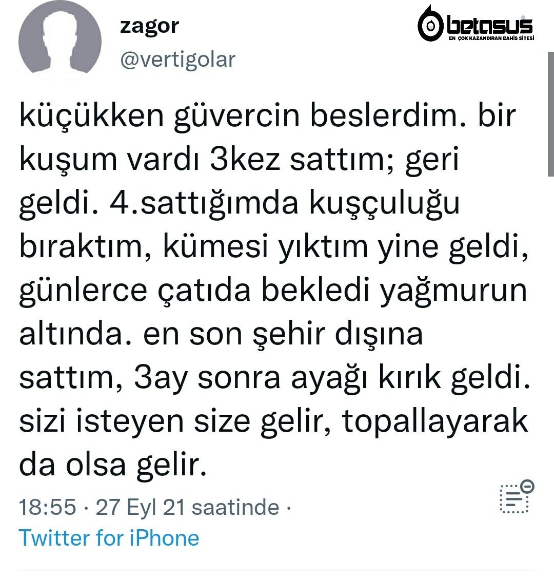 https://t.co/Jtw2umJh37  ...